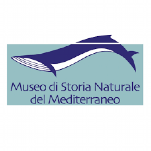 3_museo-di-storia-naturale.png